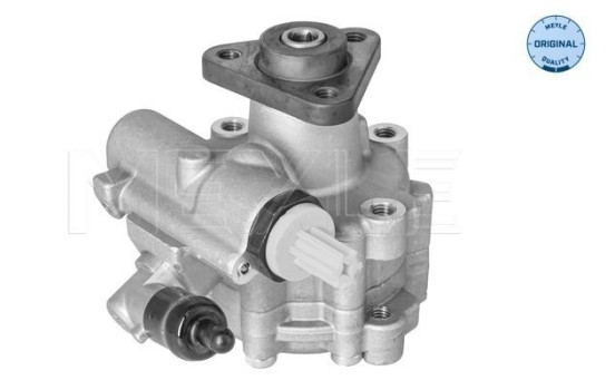 servo pump