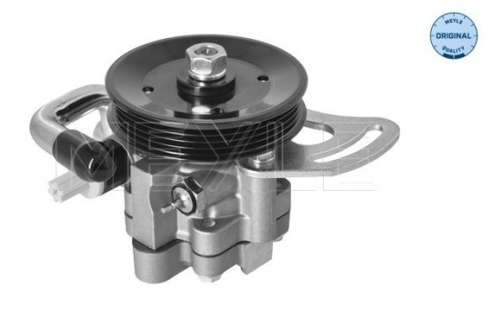 servo pump