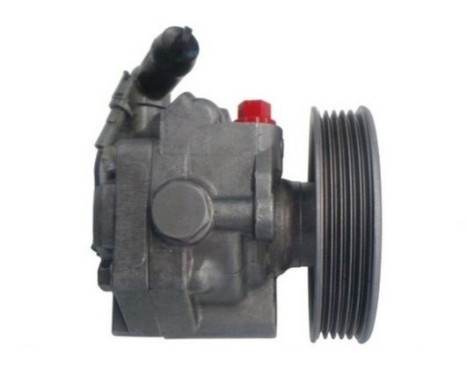 Servo pump