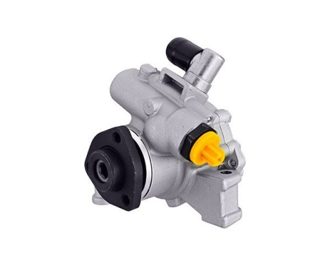 Servo pump
