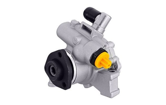 Servo pump