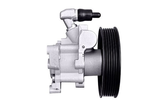 Servo pump, Image 2