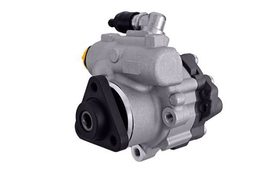 Servo pump
