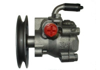 Servo pump