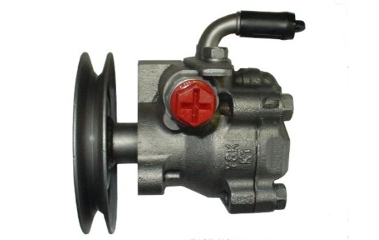Servo pump