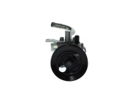 servo pump