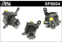 Servo pump