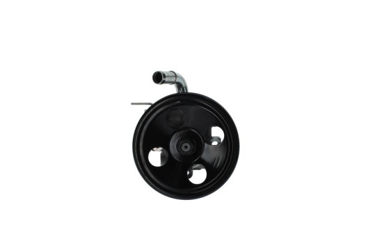 Servo pump
