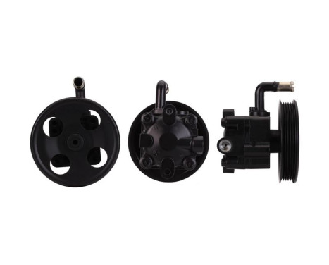 servo pump