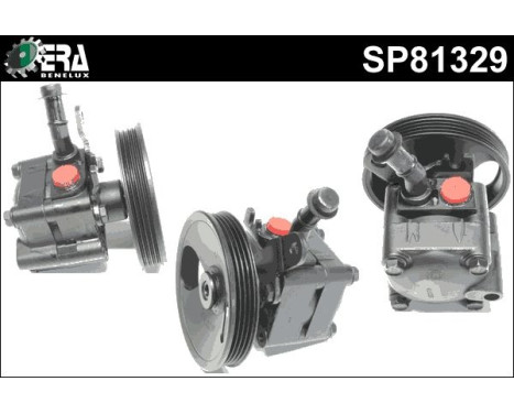 Servo pump