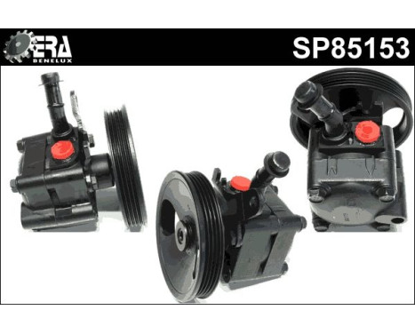 Servo pump