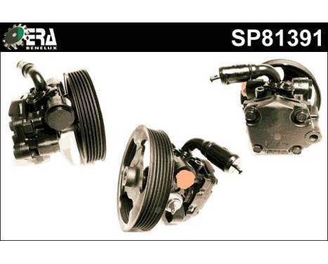 Servo pump