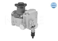 servo pump