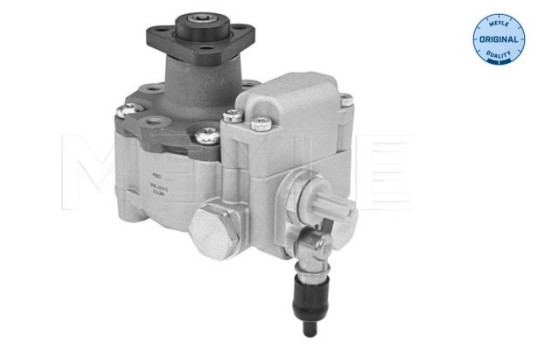 servo pump