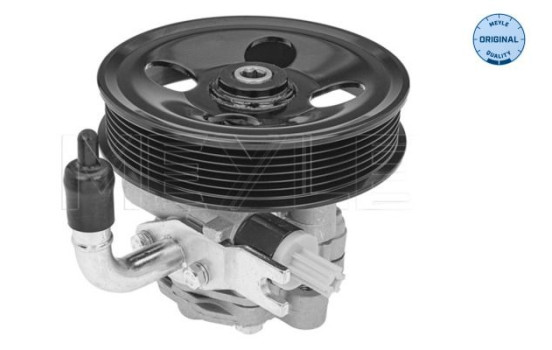 servo pump