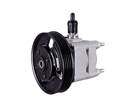 Servo pump