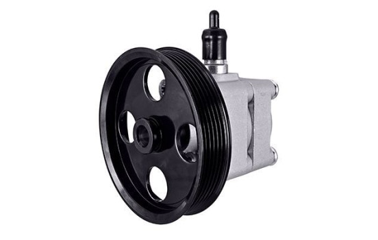 Servo pump