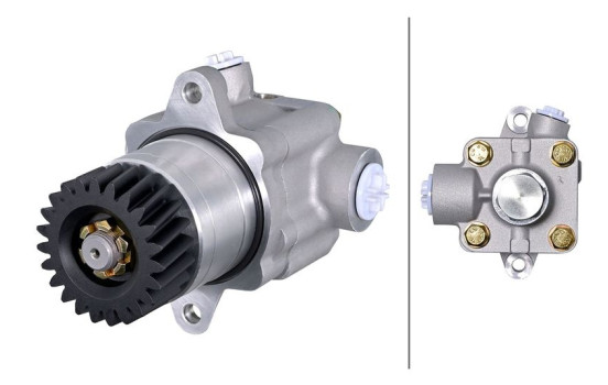 Servo pump