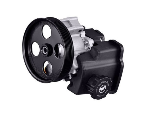 Servo pump