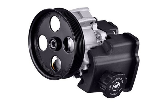 Servo pump