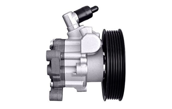 Servo pump, Image 2
