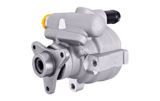 Servo pump