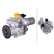 Servo pump