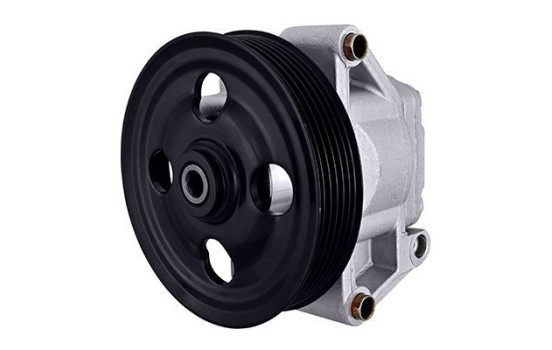 Servo pump