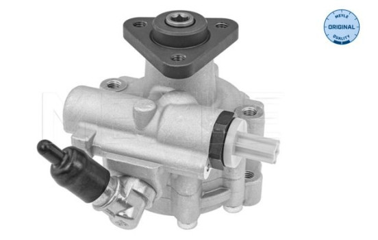 servo pump