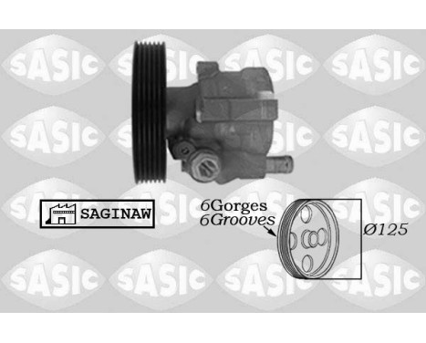 Servo pump