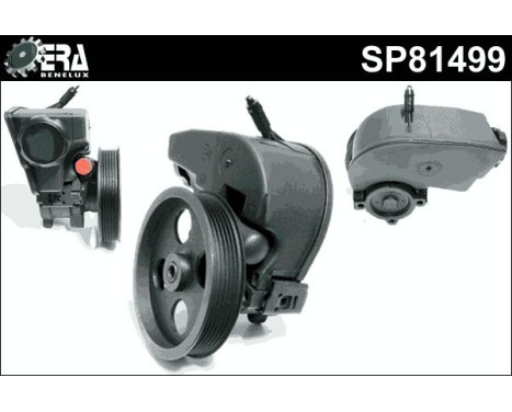 Servo pump