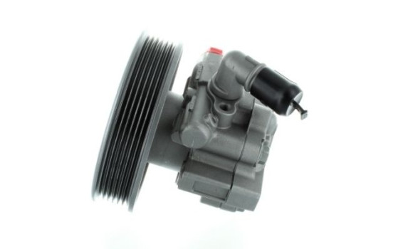 Servo pump, Image 3