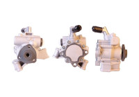 Servo pump