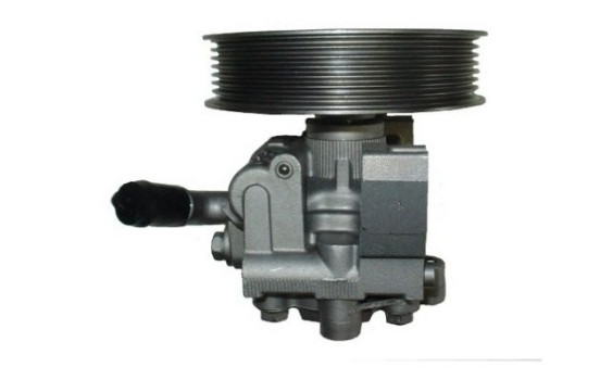 Servo pump, Image 4