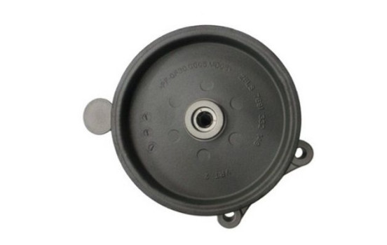 servo pump