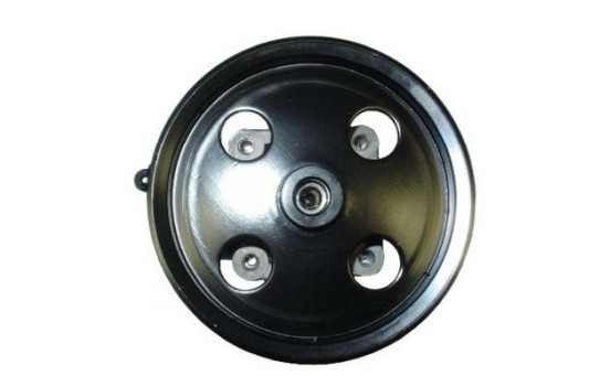 servo pump
