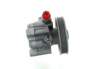 servo pump
