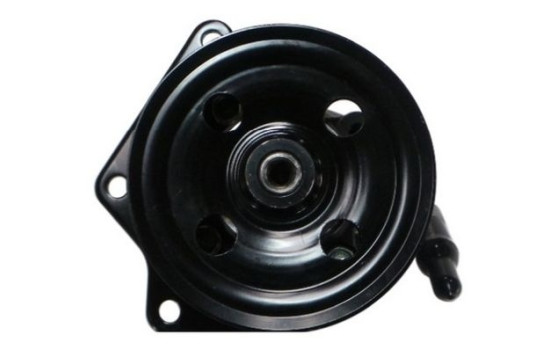 servo pump