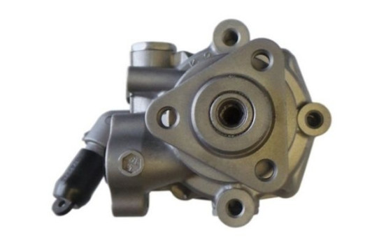 Servo pump