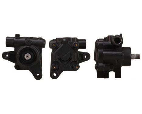 Servo pump