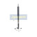 Shock Absorber, steering
