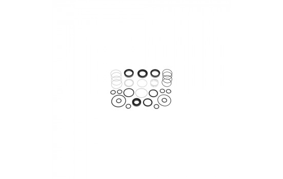 Gasket Set, steering gear