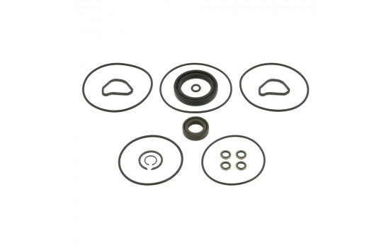 Gasket Set, steering gear