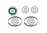 Gasket Set, steering gear