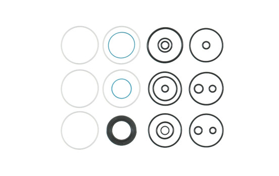 Gasket Set, steering gear