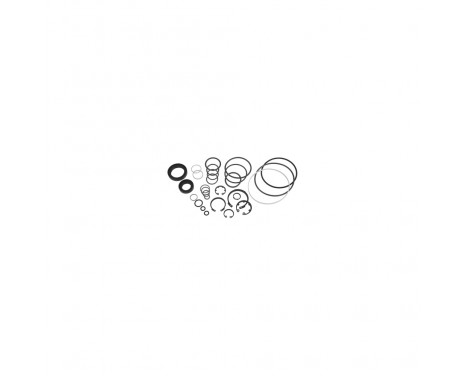 Gasket Set, steering gear