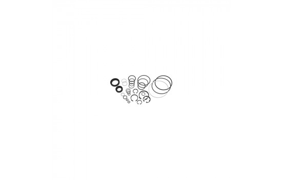 Gasket Set, steering gear