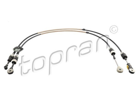 Cable, gear