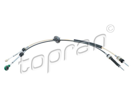 Cable, gear