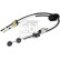 Cable, gear